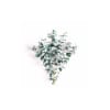 Add a touch of freshness to your home with Spiral Eucalyptus. This