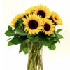 Stunning arrangement of fresh cut sunflowers with greens in a vase. Perfect