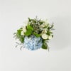 Open the shutters to the ocean breeze through the blue hydrangea, Limonium