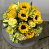 The sun is pretty great, but sunflowers are the greatest. Let&rsquo;s prove