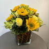The sun is pretty great, but sunflowers are the greatest. Let&rsquo;s prove