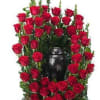 Royal Rose Surround