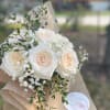 6 garden luxury roses and foliage.