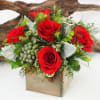 Earthy. Natural. Unique. 

Finest quality roses nestled in a bed of fresh