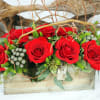 Earthy. Natural. Unique. 

Finest quality roses nestled in a bed of fresh