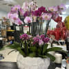 Custom orchid arrangement can come in any color if not specified will
