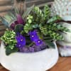 A selection of deep green and purple potted plants in a low