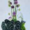 Who loves the color purple?
This beautiful arrangement is an elegant statement piece