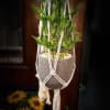 Gorgeous plant hangers in neutral tones, beaded, braided and knotted with love
