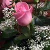 Simplicity is king! Gorgeous long stem pink roses are hand arranged with