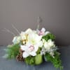 Our designers will choose a beautiful selection of seasonal blooms.
The standard size