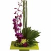 Purple dendrobium orchids, green carnations, dark pink Sweet William, an emerald palm