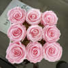 This elegant arrangement features nine preserved pink roses, artfully arranged in a
