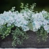 This flower box arrangement brings April May Showers freshness to any space