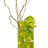 Submerging orchids in water is a clear and beautiful way to display