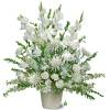 A beautiful display of all white flowers &ndash; including such bright blossoms