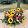 Burst of colors and texture