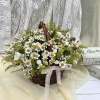This charming basket arrangement features an abundance of pure daisies, symbolizing innocence