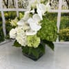A white and green simple but elegant arrangement made with orchids, carnations