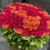 Our Standing bouquet with fresh orange and red roses. It doesn&rsquo;t require