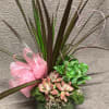 A darling fun little plant combination for indoors or sheltered patios. 
