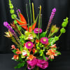 Tall bright and poppin! Assortment will vary. Be sure to order a