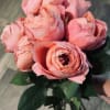 12 fresh cut garden roses of your color delicately arranged and tied