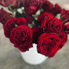 12 fresh cut roses of your color choice delicately prepared for your