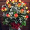 Bicolor (High Magic) Roses have long been a favorite for their beautiful