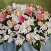 This beautiful casket arrangement has the base of Purest form of Elegance