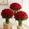 About Extravagant Romance 300 Long Stem Red Roses&trade;
LIMITED EDITION EXCLUSIVE Make this