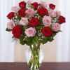 12 Red and Pink Roses arranged in a vase