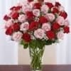12 Red and Pink Roses arranged in a vase