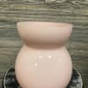 A chic matte soft pink Accent D&eacute;cor vase with  a dozen