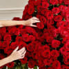 About Extravagant Romance 300 Long Stem Red Roses&trade;
LIMITED EDITION EXCLUSIVE Make this