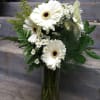 A delicate blend of white Gerbera daisies, white Monte Casino, Solidago, lemon