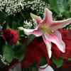 This romantic arrangement of fragrant Pink Stargazer Lilies and luxury Ecuadorian long