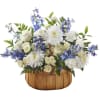 Send your heartfelt sympathies with this tender arrangement of blue delphinium and