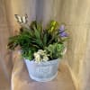 Lush indoor green plants in our modern and stylish metal vessel. This