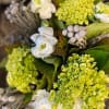 Ranunculus with unexpected company wrapped in mesh ( Hand-tied). If you need