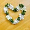 This white and green lei is perfect for a graduation, wedding or