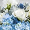 A beautiful and fresh collection of blossoms in white and blue picked