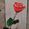 Celebrate your special occasion with a real red rose that is beautifully