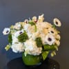 Designers choice of ultra high quality stems to include orchids, anenomes, hydrangea