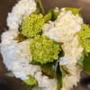All about hydrangeas wrapped in mesh ( Hand-tied). If you need a