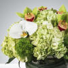 Two different types of orchids and hydrangea come together for this bubble