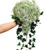Make your wedding special with our Waterdrop Wedding Bouquet. This unique arrangement
