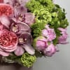 **Product Name: &quot;Garden Elegance Box Arrangement&quot;**



Indulge in the beauty of nature with