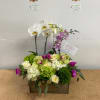 roses, orchid plants , hydrangea,and more 