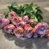 12 or 24 fresh cut long stem roses of your color choice